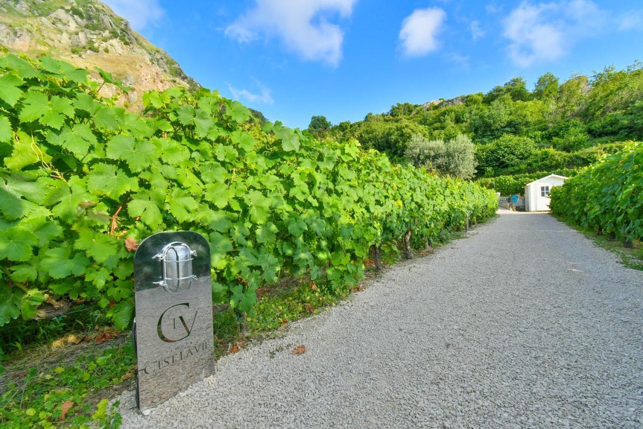 Tenuta C'Est La Vie Forio  Luaran gambar